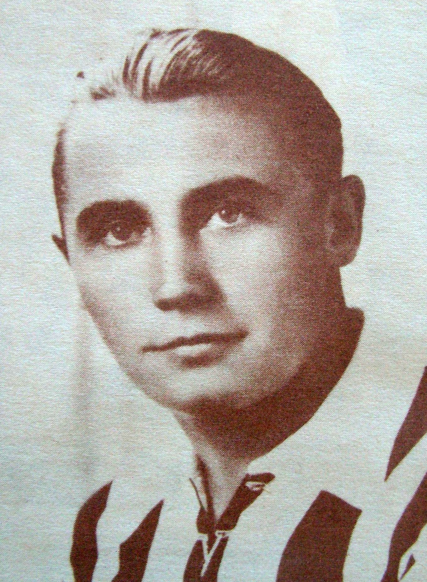 Novomeszky István sportoló, városi adótiszt