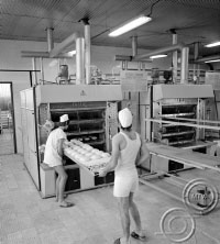 A magyar gyártmányú, Pajtás nevű kemencébe tolják be a pékek a kenyértésztát a Pest megyei Tanács IV. számú Sütőipari Vállalatának sütőüzemében