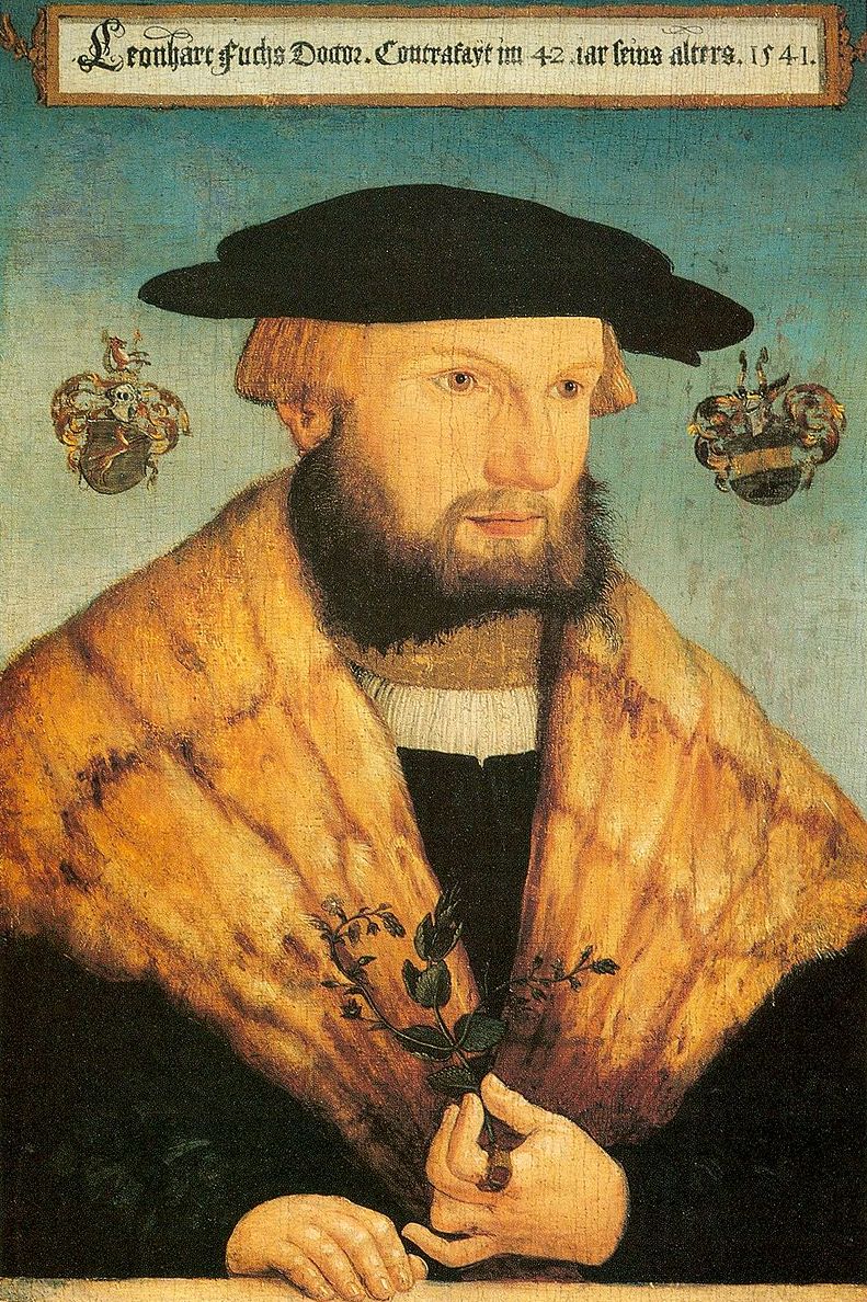 Heinrich Füllmaurer Fuchs-portréja